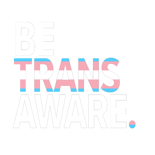 The logo for Be Trans Aware featuring the words BE TRANS AWARE in a bold font in all capitals, stacked one on top of the other. The "be" and "aware" are white whereas the "trans" is overlayed with the colours of the transgender flag; horizontal stripes of blue, pink, white, pink, and blue.